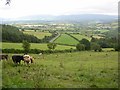S6644 : View from lane near Glencoum Wood, near Graiguenamanagh, Co. Kilkenny by Humphrey Bolton