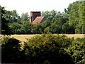 All Saints church, Little Wenham, Suffolk