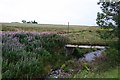 Bridge over the Ballintomb Burn south of Lynes farm.