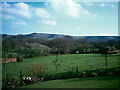 Looking towards Didling Hill from Piper