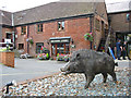 The Hampshire Hog Ringwood Brewery Ringwood Hampshire