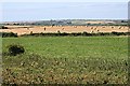 Grass and Bales