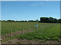 Farmland at Dourie