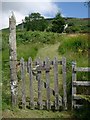 NR8641 : Gate and garden path by Gordon Brown