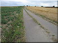 Track to Chelsing Farm