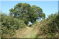 Morchard Bishop: Back Lane