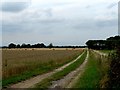 On Track With The Harvest