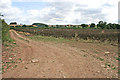 Farm track near Cliff Lane.