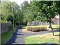 Delamere Park - footpaths near The Cobbles