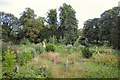 Mildenhall Kingsway Cemetery