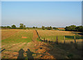 Hay fields south of Yew Tree Farm