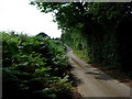 Bridleway leading up to Green Lane Farm - Sevenoaks