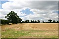 Field south of Stanton