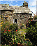 SX0588 : Tintagel Post Office (National Trust) by Pam Brophy