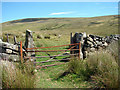 SH6111 : Farm gate beside a mountain road by John Lucas