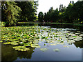 Lake at Stratford Park, Stroud