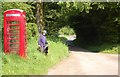 Telephone box in Luckwell Bridge