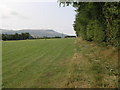 Sheep and Clee Hill