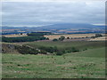 The Cheviot from Hundy Mundy