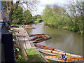 The river at the Cherwell Boathouse