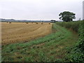 Barn on Bend