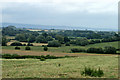 Farmland at Wombwells Farm