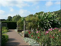 SX7467 : The Sensory Garden, Buckfast Abbey by Rich Tea