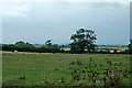 Grazing land near Ludgershall