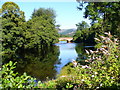 River Teith at Callander