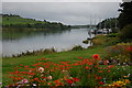 River Bann, Coleraine (1)