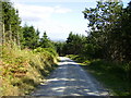 Leaving Shobdon Hill Wood on the Mortimer Trail