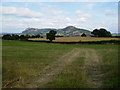 Farmland with view to Criggion and Rodney