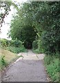 TL0006 : Garden Field Lane, Berkhamsted by Rob Farrow