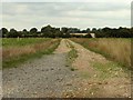TL9256 : Track leading to Woodhouse Farm, near Felsham, Suffolk by Robert Edwards