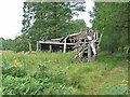 Ruined barn in Flakebridge Woods