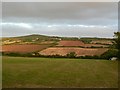 Field by Bosence Road and Godolphin Hill, dusk