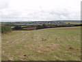 Fields by Tregingey Farm, near Little Petherick