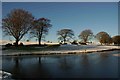 Beech Trees on Lockerbie Golf Course