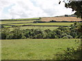 Fields by Watergate Farm, Rosenannon