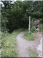 Footpath towards Kinder Reservoir, Booth