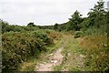 SW9559 : Track on Goss Moor by Tony Atkin