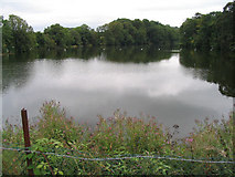 SJ2671 : Reservoir in Oakenholt by Peter Craine