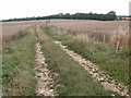 Bridleway and track to Deadlands Copse