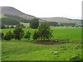 Fields near Clacknockater