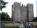 R4560 : Bunratty Castle by Roger McLachlan