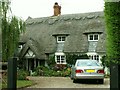 Thatched cottage near Great Easton, Essex