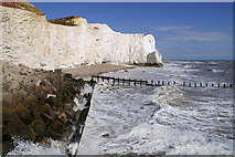TV4898 : Sea Defences at Seaford by Peter Standing