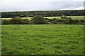 Valley and Forest