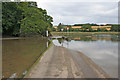 Gooseford Lane near St John