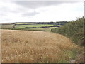 Fields of Penrose East Farm